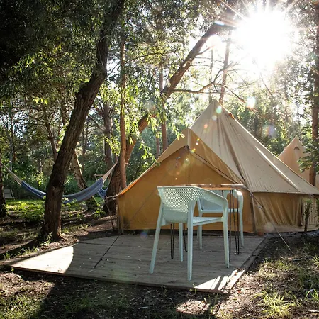 Hotel Raus Und Gut Glamping Am Gräbendorfer