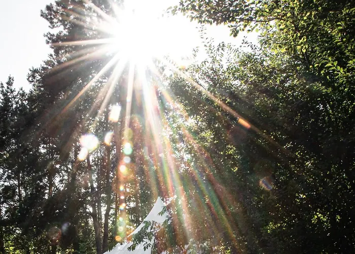 Raus Und Gut Glamping Am Graebendorfer * Drebkau